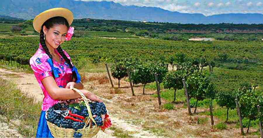 UBICACIÓN Y SUELO DEL VIÑEDO Y SU INFLUENCIA SOBRE EL VINO