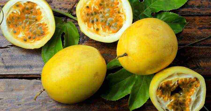 El Maracuyá dulce, nueva alternativa para productores ecuatorianos
