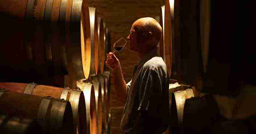 Día del enólogo: tres hacedores que reflejan el gran momento del vino argentino